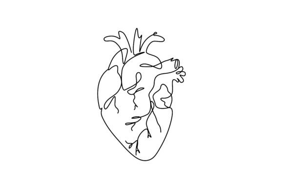 Download Single-line Drawing of the Human Heart - Line drawing Collection
