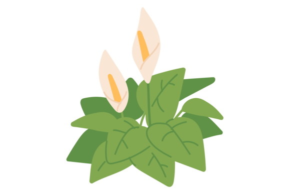 Download Peace Lily Color Icon. House Plant Flowe - House plant Collection