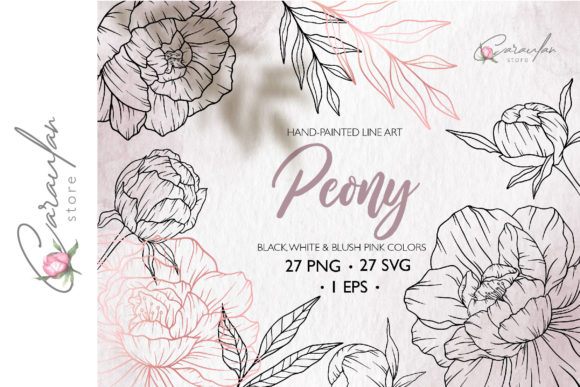 Download Peonies Line Drawing, Floral Line Art - Line drawing Collection