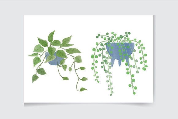 Download House Plant Clipart, Indoor Plants - House plant Collection