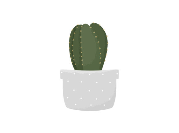 Download House Plant Tropical Cactus Flower Vase - House plant Collection