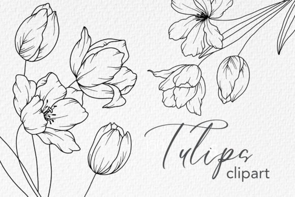 Download Tulips Line Drawing, Floral Line Art - Line drawing Collection